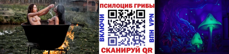 Псилоцибиновые грибы GOLDEN TEACHER  Купить где  Котлас 